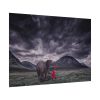 92408-534.jpg Elephant and Child Friendship Poster