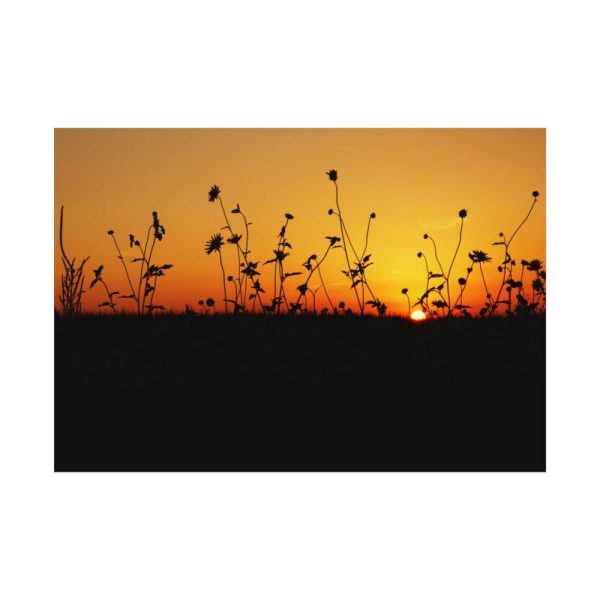 Sunset Poster