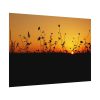 Sunset Poster