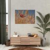 92408-55.jpg Grain Halme Cereals Butterfly Poster