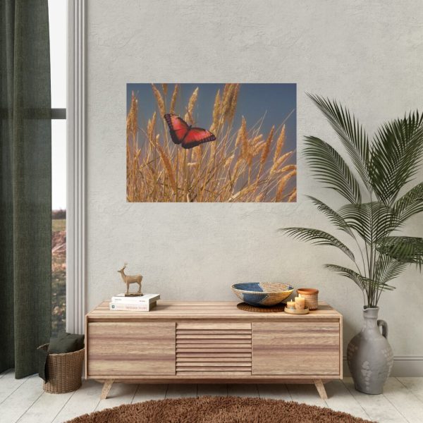 92408-55.jpg Grain Halme Cereals Butterfly Poster