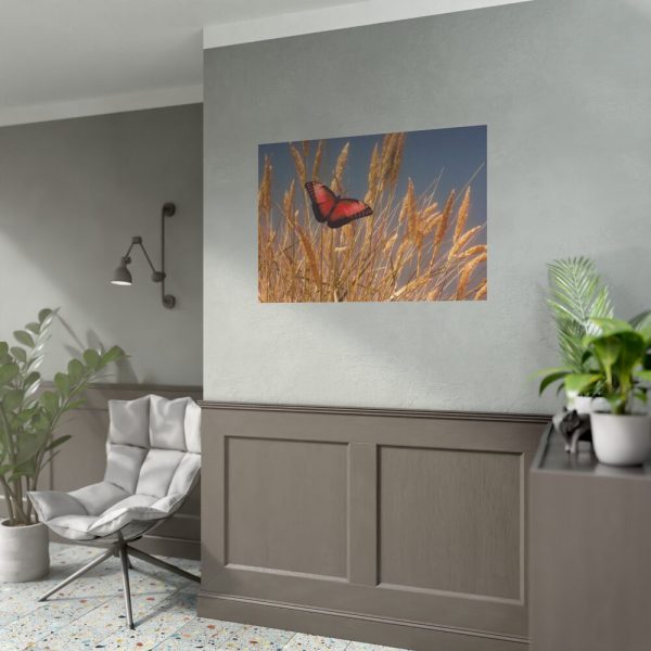 92408-56.jpg Grain Halme Cereals Butterfly Poster