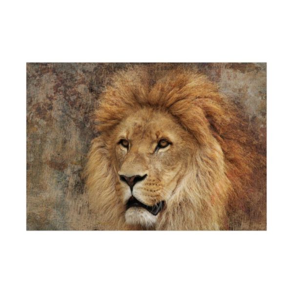 92408.jpg Beautiful Lion's Head Poster