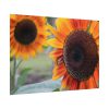 92408-604.jpg Colorful Orange Sunflower Poster