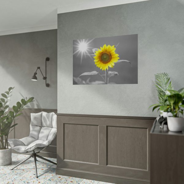92408-611.jpg Beauty Sunflower Poster