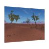 92408-619.jpg Desert in Africa Poster