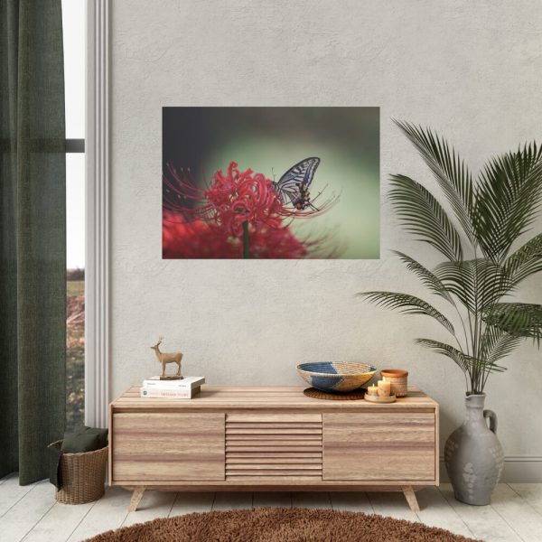 92408-64.jpg Butterfly on Red Flower Poster