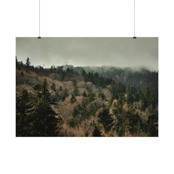 92408-643.jpg Forest Nature Poster