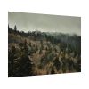92408-644.jpg Forest Nature Poster