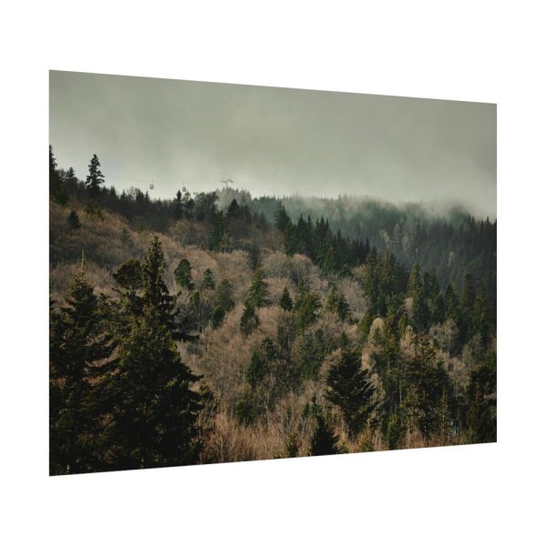 92408-644.jpg Forest Nature Poster