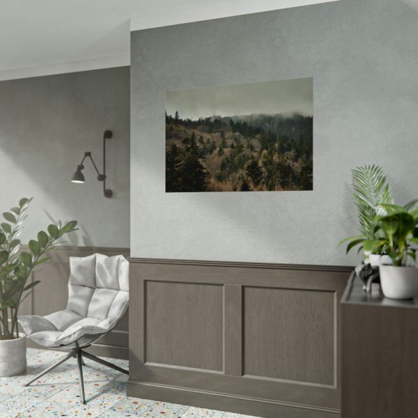 92408-646.jpg Forest Nature Poster