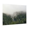 92408-649.jpg Forest in Fog Poster