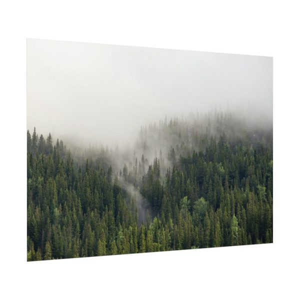 92408-649.jpg Forest in Fog Poster