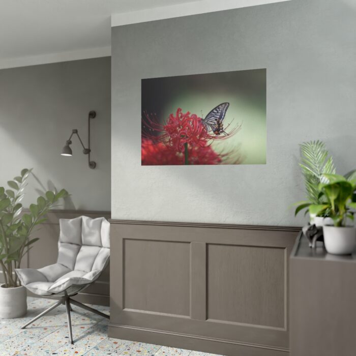 Butterfly on Red Flower Poster - Image 3