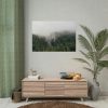 92408-650.jpg Forest in Fog Poster