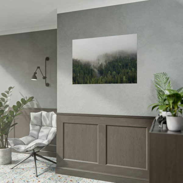 92408-651.jpg Forest in Fog Poster