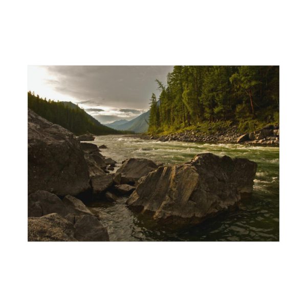 92408-652.jpg Creek River in the Forest Poster