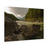 92408-654.jpg Creek River in the Forest Poster