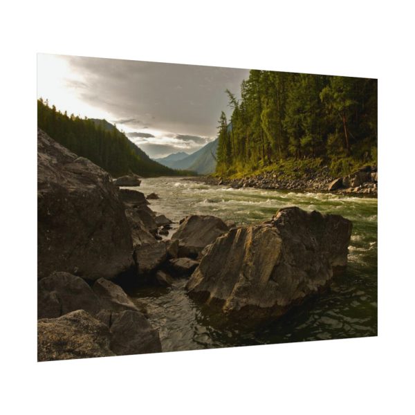92408-654.jpg Creek River in the Forest Poster