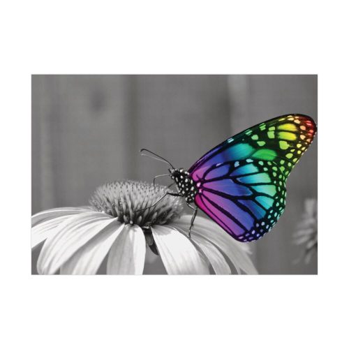 92408-66.jpg Colorful Butterfly on Flower Poster