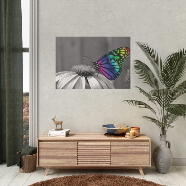 Colorful Butterfly on Flower Poster