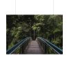 92408-678.jpg Bridge in the Forest Poster