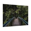 92408-679.jpg Bridge in the Forest Poster