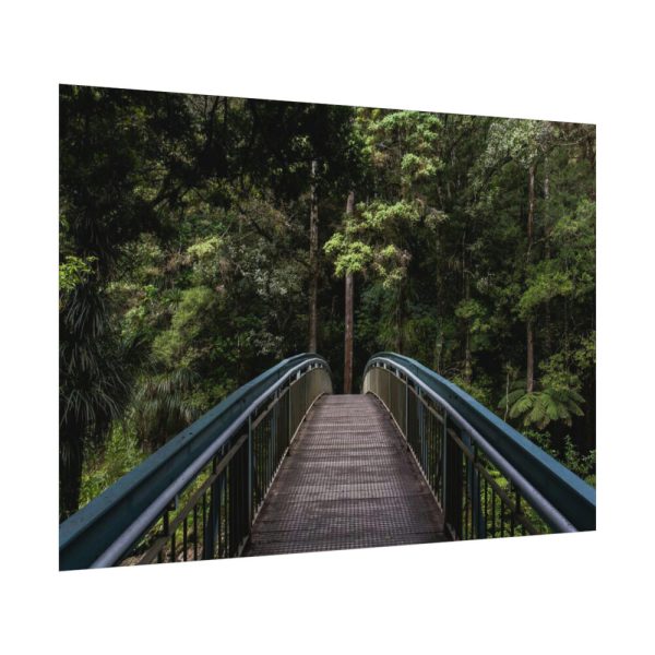 92408-679.jpg Bridge in the Forest Poster