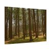 92408-724.jpg Leominster State Forest Poster