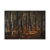 92408-727.jpg Dark Overgrown Forest Poster