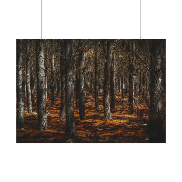 92408-728.jpg Dark Overgrown Forest Poster