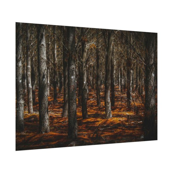 92408-729.jpg Dark Overgrown Forest Poster