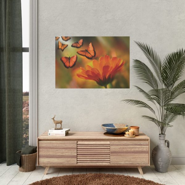 92408-73.jpg Butterfly on Orange Flower Poster