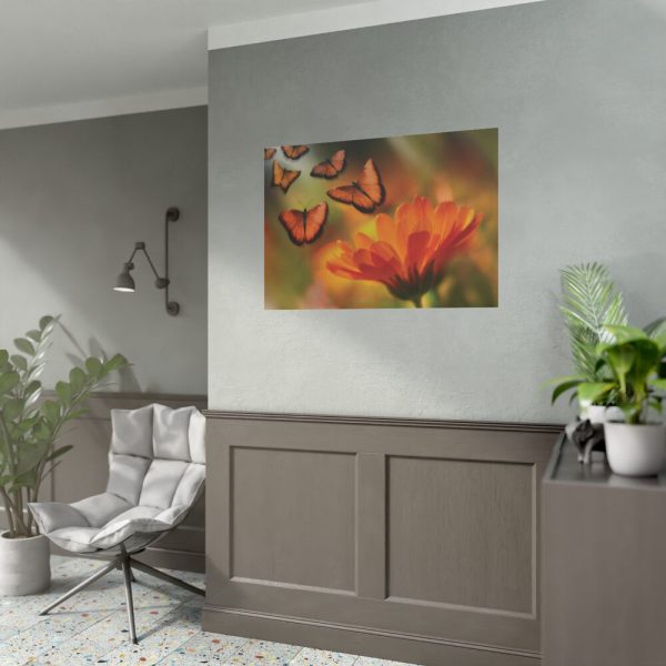 92408-74.jpg Butterfly on Orange Flower Poster