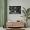 92408-740.jpg A Path Through the Forest Poster