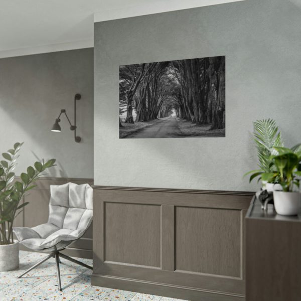 92408-741.jpg A Path Through the Forest Poster