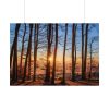 92408-743.jpg Forest Landscape with Sun and Trees Poster