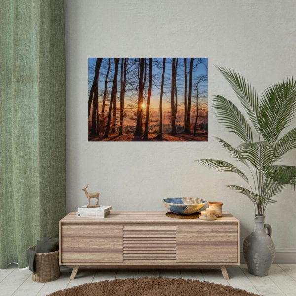 92408-745.jpg Forest Landscape with Sun and Trees Poster