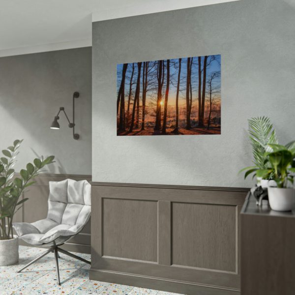 92408-746.jpg Forest Landscape with Sun and Trees Poster