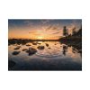 92408-747.jpg Water Reflection in the Forest Poster