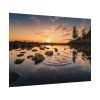 92408-749.jpg Water Reflection in the Forest Poster