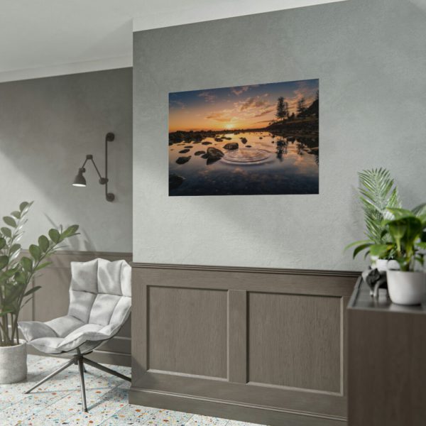 92408-751.jpg Water Reflection in the Forest Poster