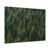 92408-759.jpg Forest on Mount Saint Helens Poster