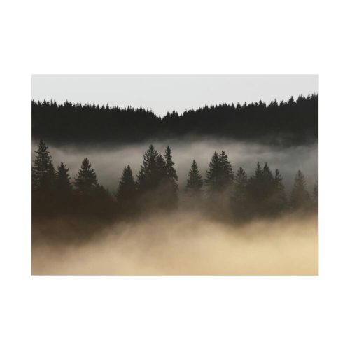 92408-762.jpg Trees and Forest in the Fog Poster