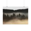 92408-763.jpg Trees and Forest in the Fog Poster
