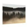 92408-764.jpg Trees and Forest in the Fog Poster