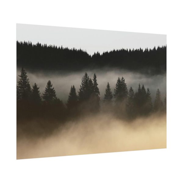92408-764.jpg Trees and Forest in the Fog Poster