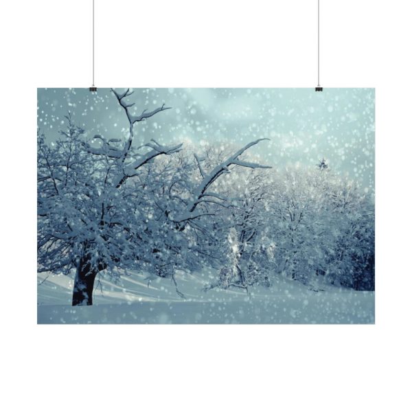 92408-768.jpg Forest Covered with Snow Poster