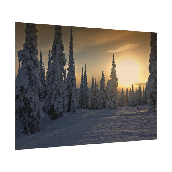 92408-774.jpg Dawn and Winter in the Forest Poster