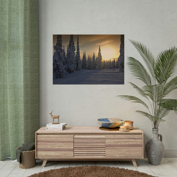 92408-775.jpg Dawn and Winter in the Forest Poster